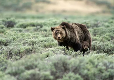 Dukas/Universal Images Group/Getty Images