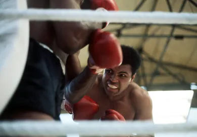 Allsport UK/ALLSPORT