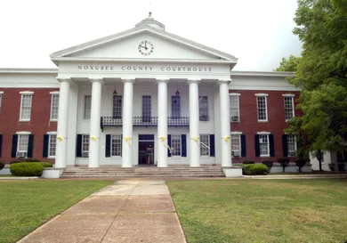 Marianne Todd/Getty Images