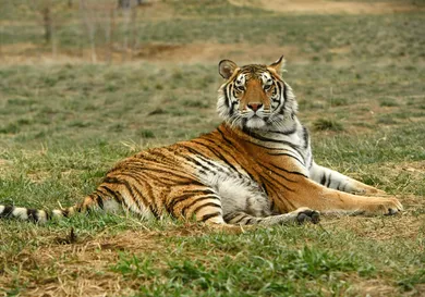 Helen H. Richardson/MediaNews Group/The Denver Post via Getty Images