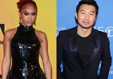 Kate Green/Getty Images & Theo Wargo/Getty Images