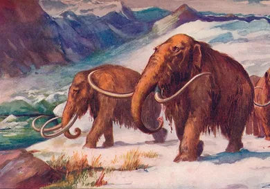 The Print Collector/Getty Images