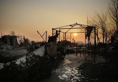 Elijah Nouvelage/Getty Images