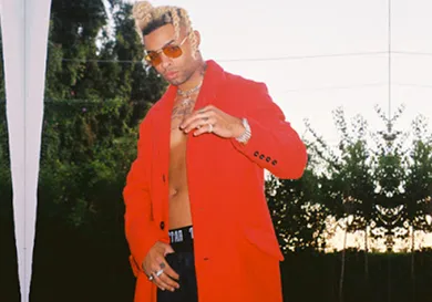 Image provided by the artist