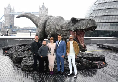 Stuart C. Wilson/ Getty Images