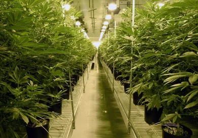 Ethan Miller/Getty Images