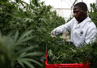 Luke Dray/Getty Images