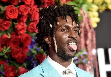 Steven Ferdman/Getty Images