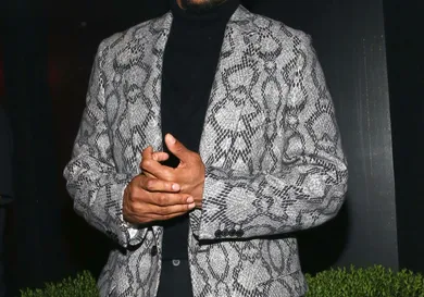 Astrid Stawiarz/Getty Images