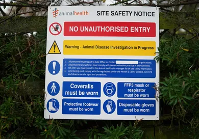 Photo by Ian Forsyth/Getty Images