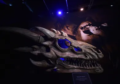 Charles McQuillan/Getty Images