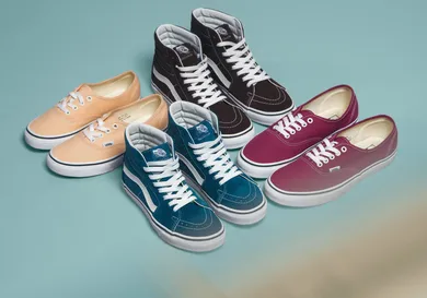 Image Via Vans