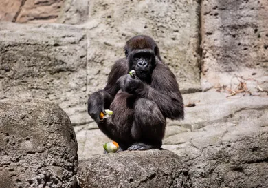 Europa Press News/Getty Images