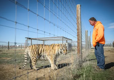 Marc Piscotty/Getty Images