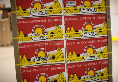 Jack Taylor/Getty Images