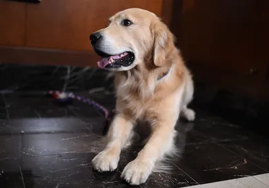 Jamie McCarthy/Getty Images