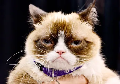 Jerod Harris/Getty Images