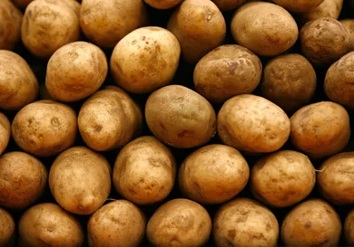 Chip Somodevilla/Getty Images