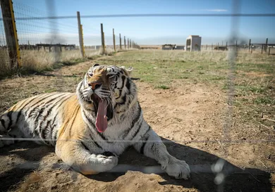 Marc Piscotty/Getty Images