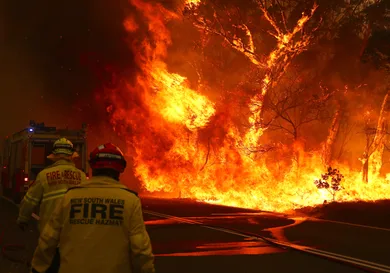 David Gray / Stringer / Getty Images