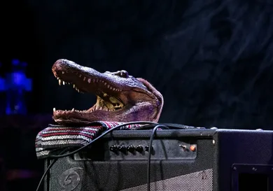 Debra L Rothenberg/Getty Images