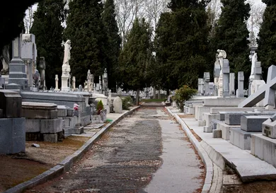 Carlos Alvarez / Getty Images