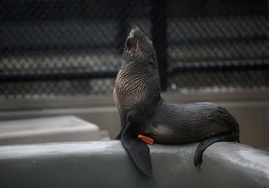 Justin Sullivan/Getty Images