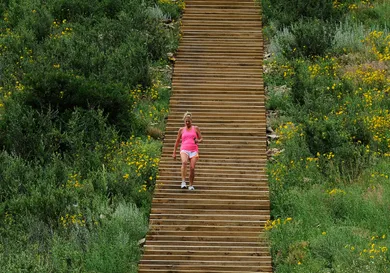 Anya Semenoff/The Denver/Getty Images