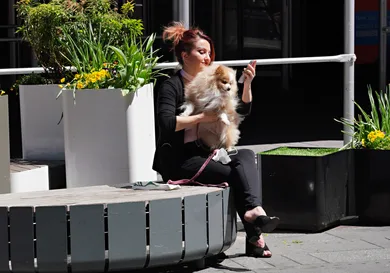 Cindy Ord / Staff / Getty Images