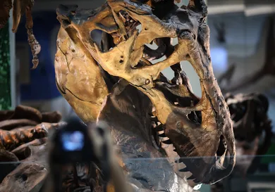 Win McNamee/Getty Images