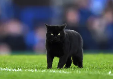 Gareth Copley/Getty Images