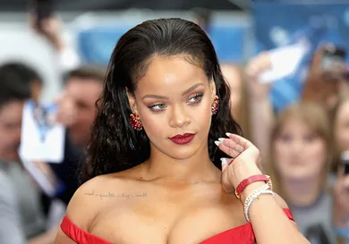 Tim P. Whitby/Getty Images