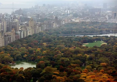 Mario Tama / Staff / Getty Images