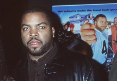 Brenda Chase Online USA, Inc. / Getty