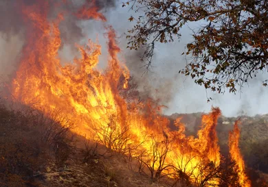 Sandy Huffaker/Getty Images
