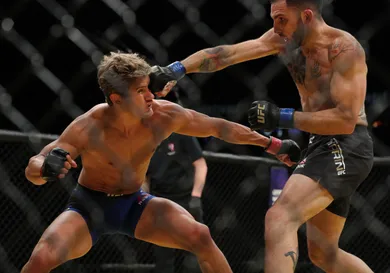 Rey Del Rio/Getty Images