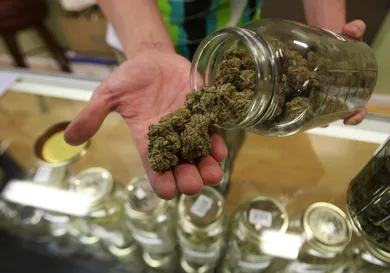 David McNew/ Getty Images