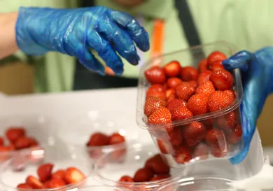 Carl Court/Getty Images