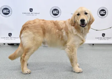 Jamie McCarthy/Getty Images