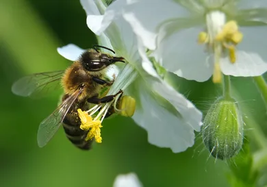 Sean Gallup / Getty Images