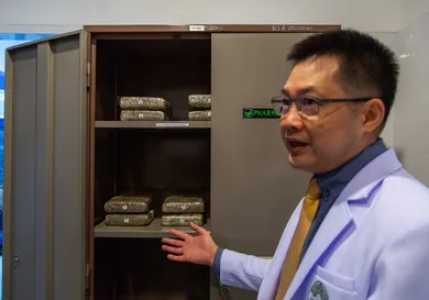 Lauren DeCicca/Getty Images