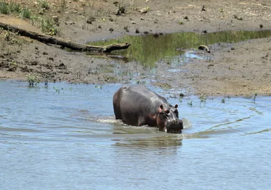 Richard Heathcote/ gettyimages