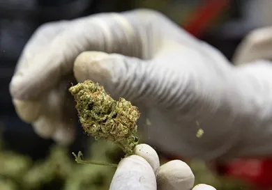 Luke Dray/Getty Images