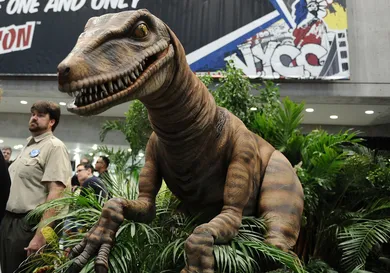 Daniel Zuchnik /gettyimages