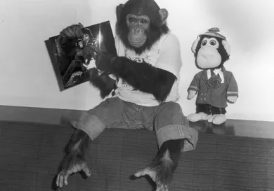 Hulton Archive/Getty Images