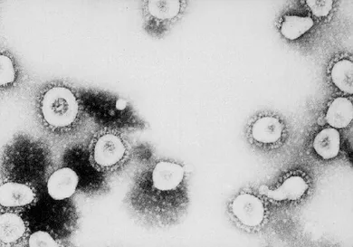 Getty Images / Handout / Getty Images