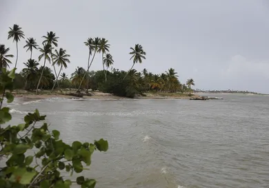 Joe Raedle / Getty Images