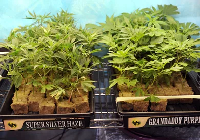 Bob Riha, Jr./Getty Images