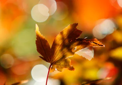 Dan Istitene / Getty Images