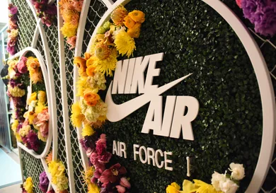 Araya Diaz  /  Getty Images